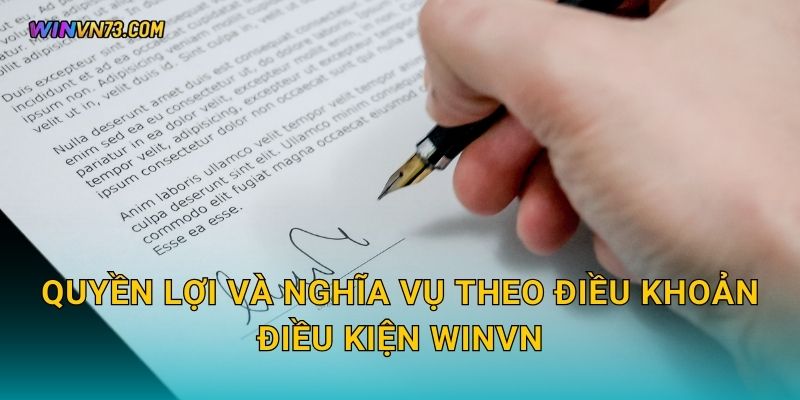 Quyền lợi và nghĩa vụ theo Điều khoản điều kiện WINVN