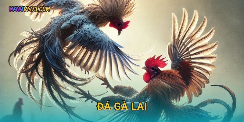 Đá gà lai hấp dẫn đa phong cách tại WINVN