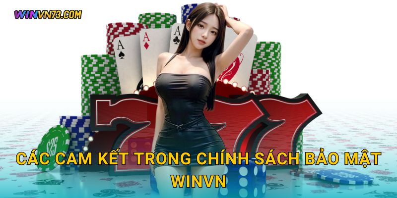 Các cam kết trong Chính sách bảo mật WINVN